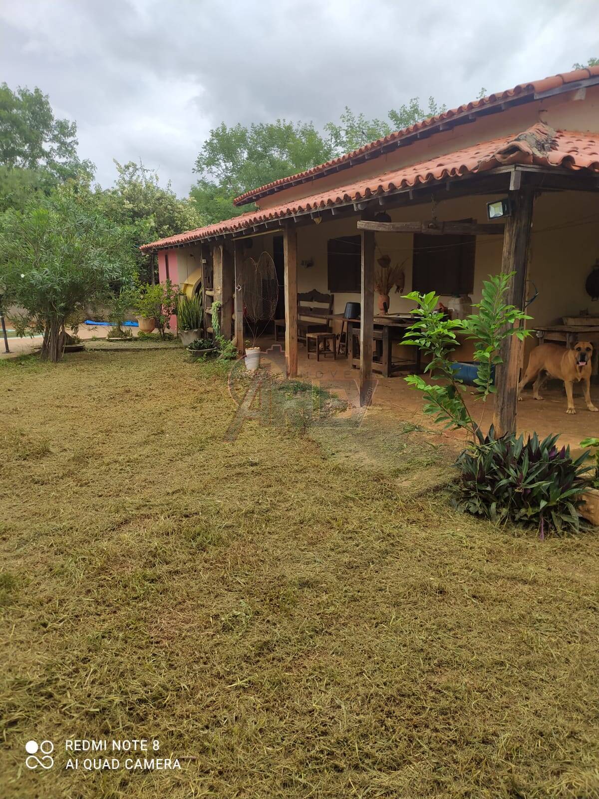 Fazenda à venda com 3 quartos - Foto 6